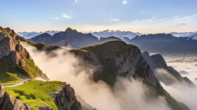 广东绿境园林景观工程有限公司轮播图5